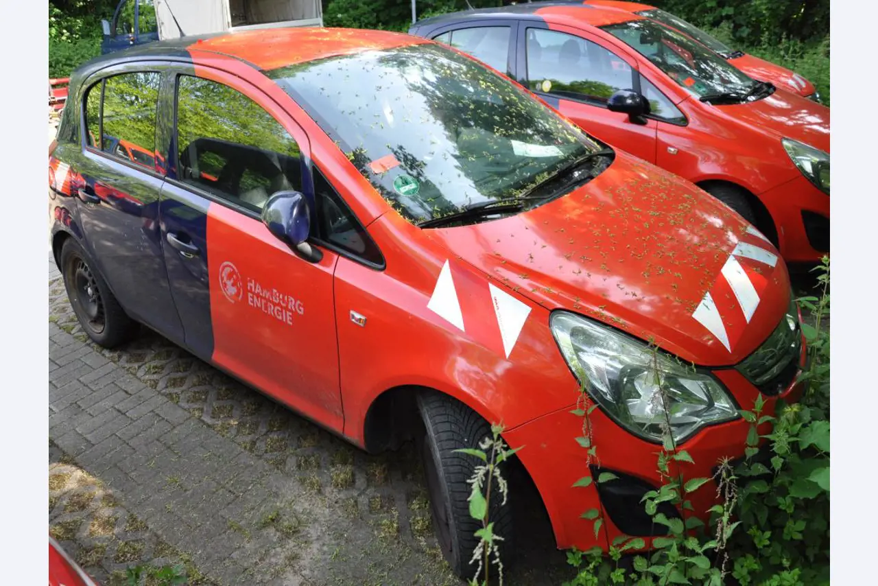 Equipamento de laboratório de alta qualidade para o abastecimento municipal de água-4