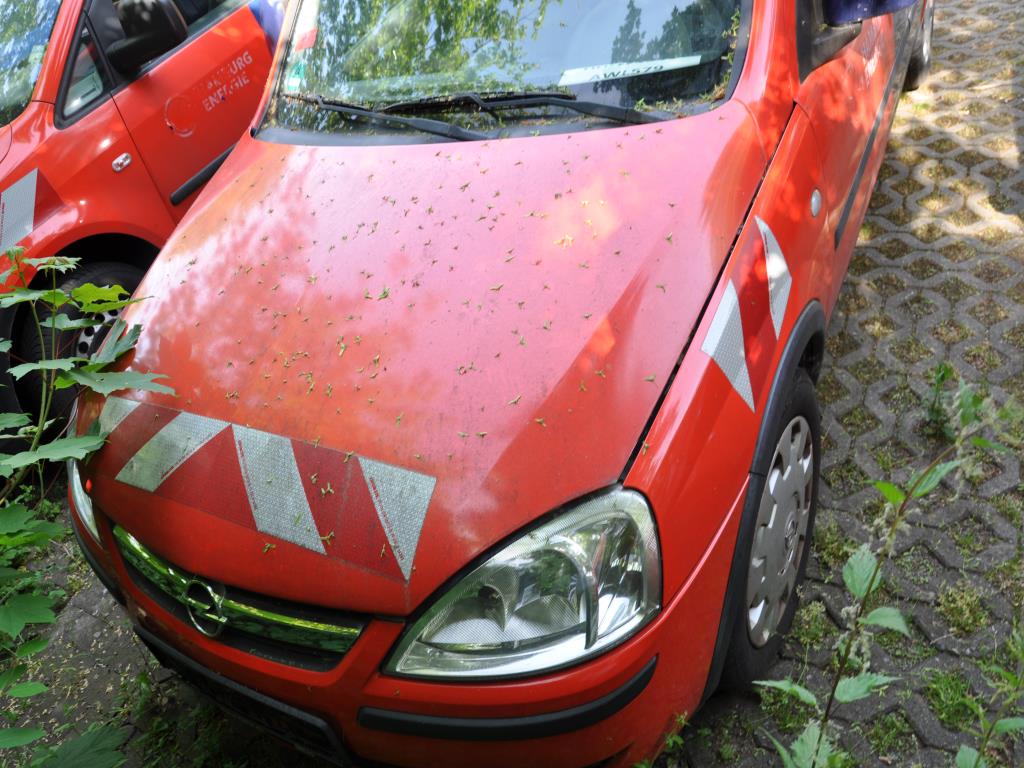 Wysokiej jakości sprzęt laboratoryjny dla miejskich wodociągów-5