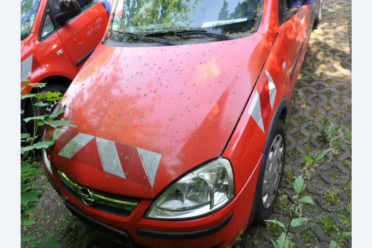 Equipamento de laboratório de alta qualidade para o abastecimento municipal de água-5