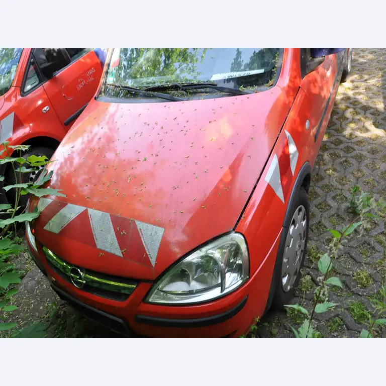 Equipamento de laboratório de alta qualidade para o abastecimento municipal de água-5