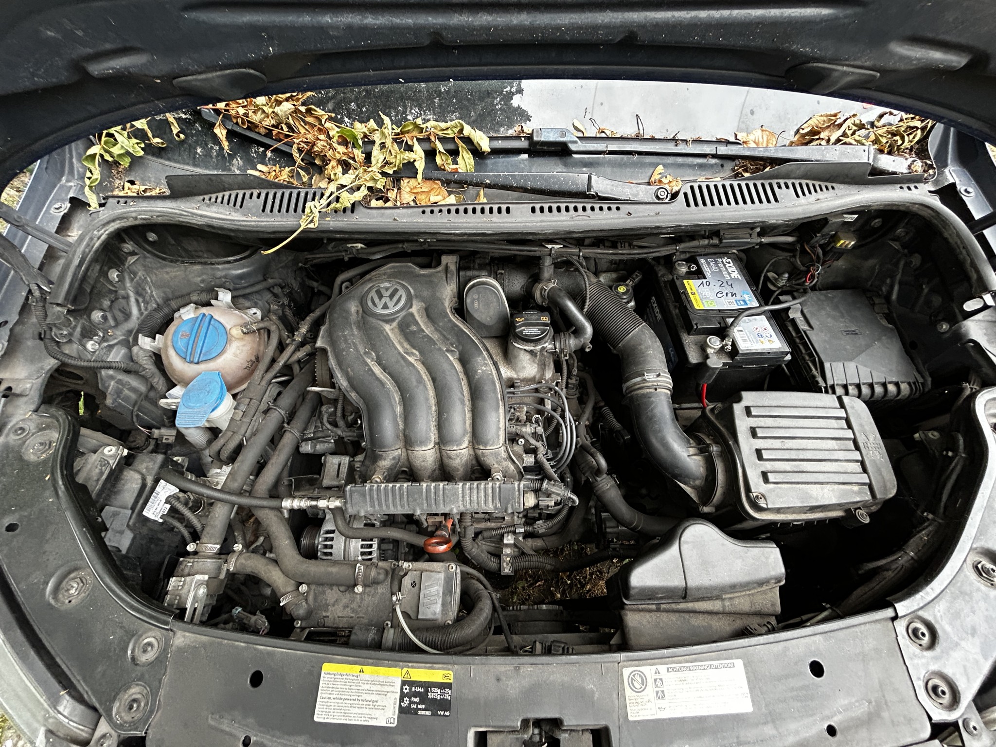 Well-maintained vehicles from governmental fleets-12