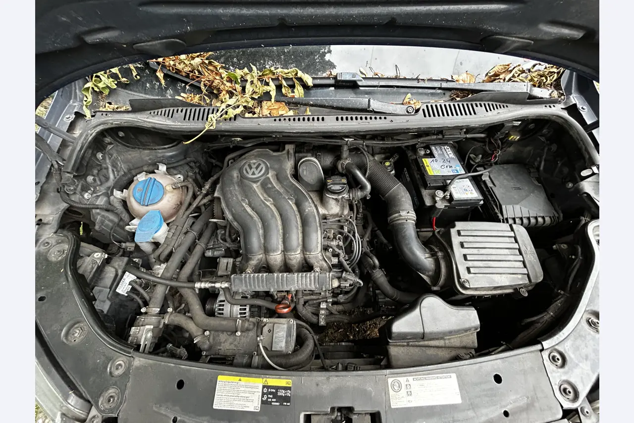 Well-maintained vehicles from governmental fleets-12