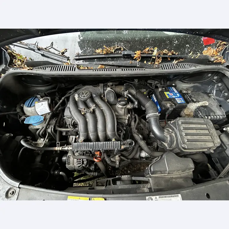 Well-maintained vehicles from governmental fleets-12