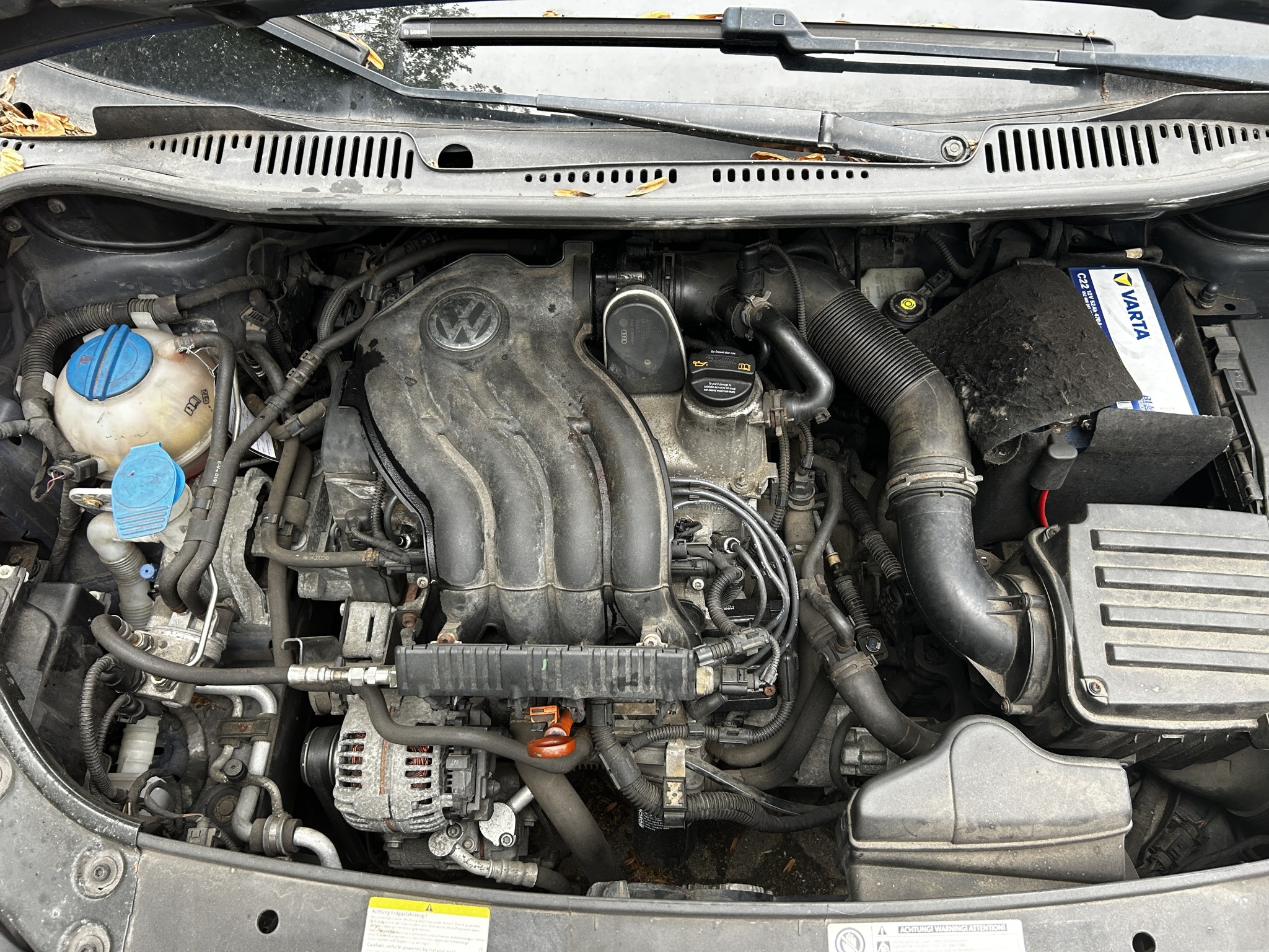 Well-maintained vehicles from governmental fleets-11