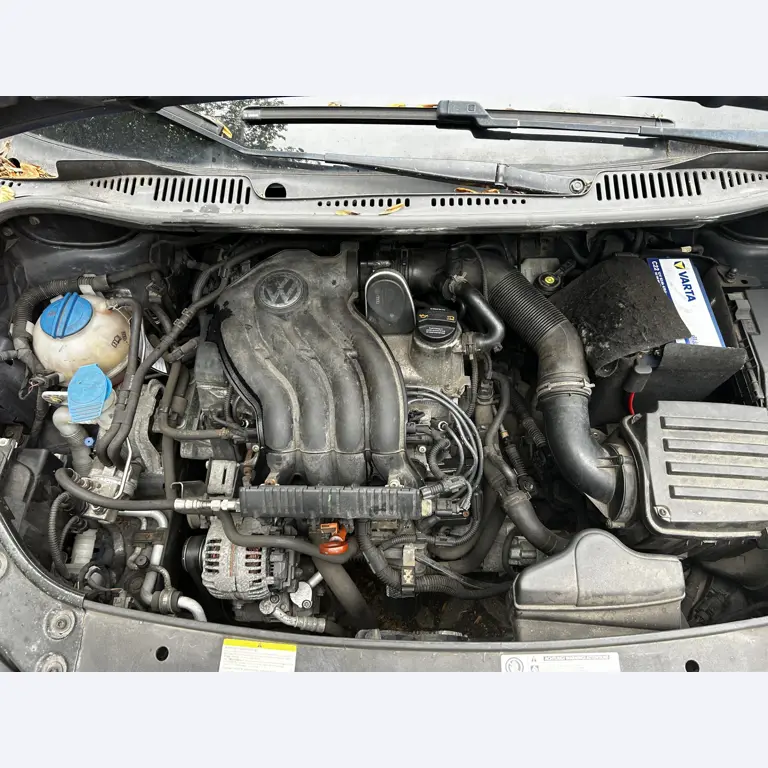 Well-maintained vehicles from governmental fleets-11