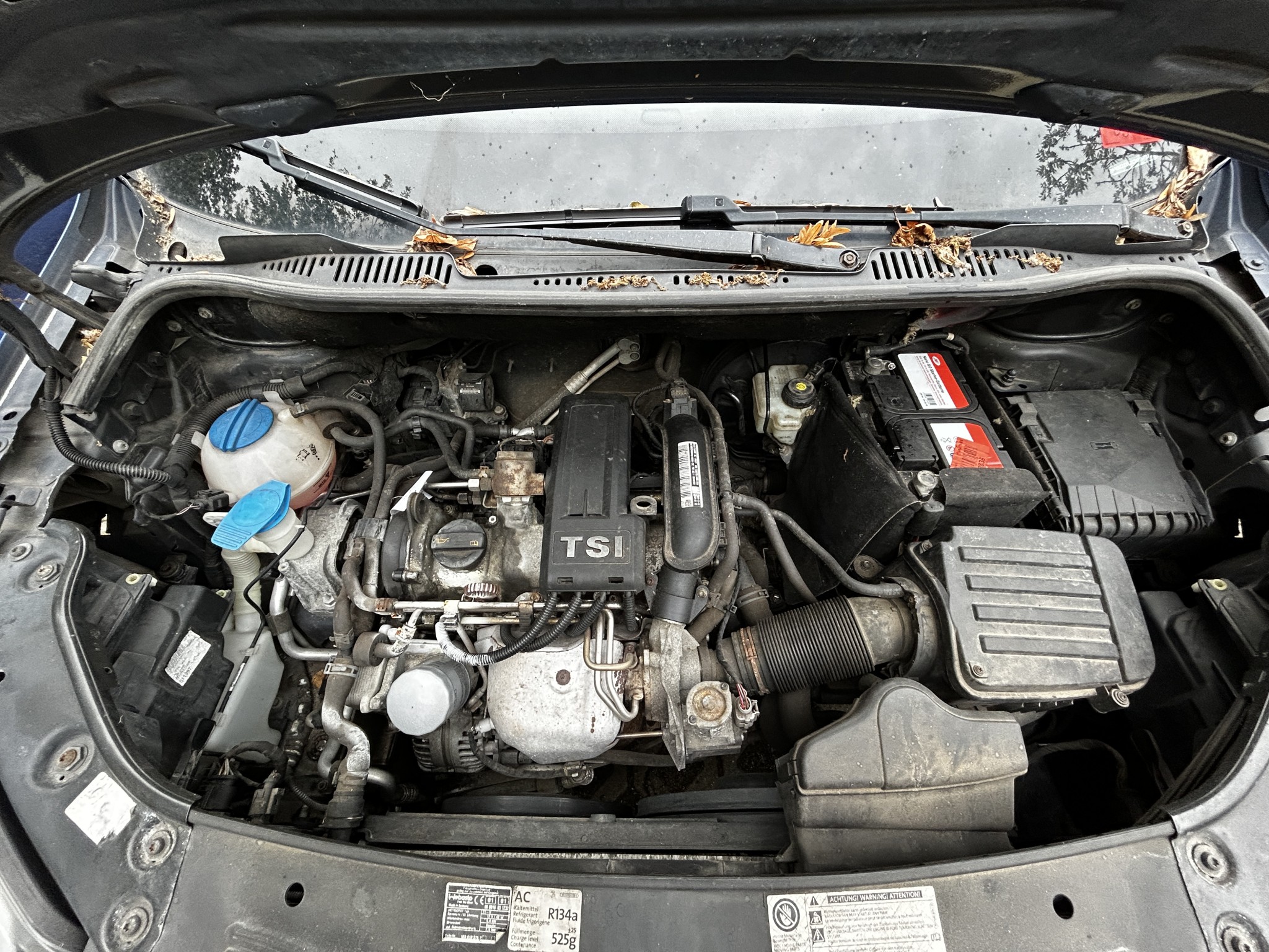 Well-maintained vehicles from governmental fleets-12