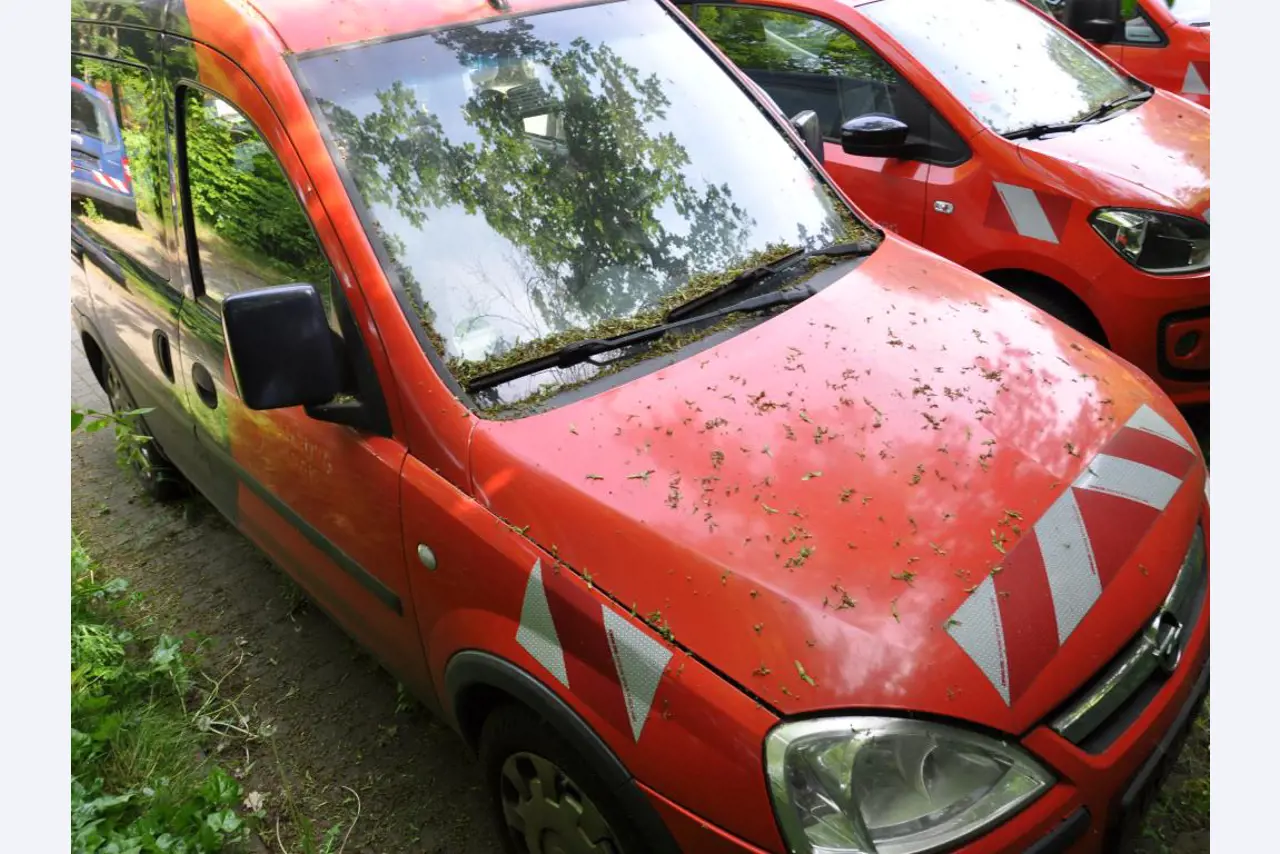 Equipamento de laboratório de alta qualidade para o abastecimento municipal de água-3