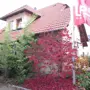 thumbnail-null-2
