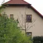 thumbnail-null-3