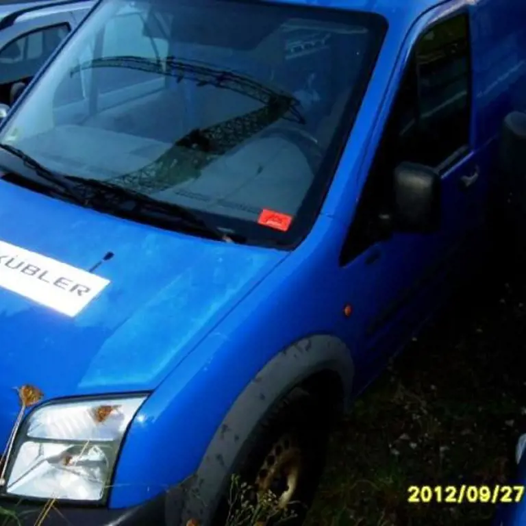 Transporter Ford Transit Connect T220S