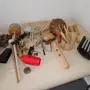 thumbnail-Rehaklinik IRMA-2