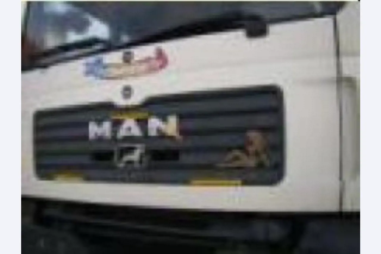 Vehículos Comerciales Bien mantenidos-6