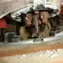 thumbnail-Polanco Gruppe-2