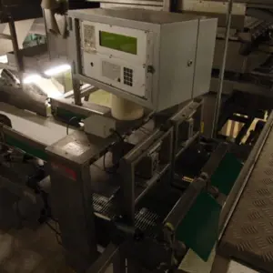 Bag forming, filling and sealing line