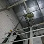 thumbnail-Technologia wytłaczania, technologia magazynowania, inżynieria mechaniczna, wyposażenie warsztatów, tokarki i frezarki-2