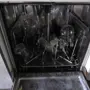 thumbnail-null-2