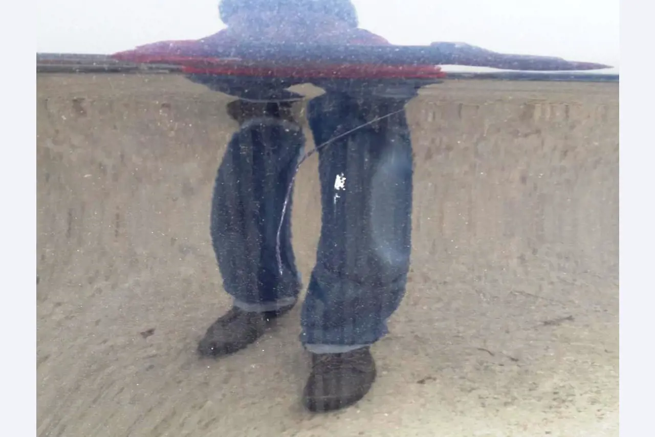 divers véhicules à moteur-7