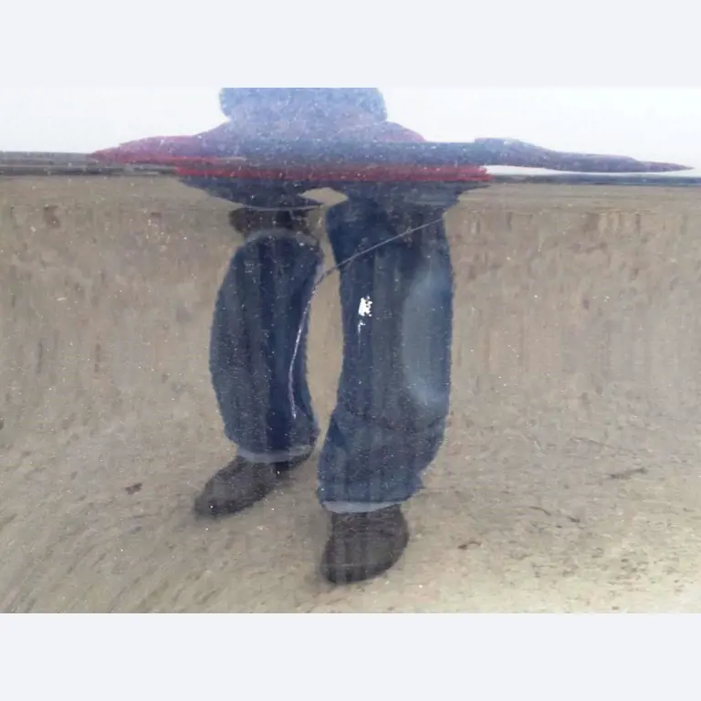 divers véhicules à moteur-7