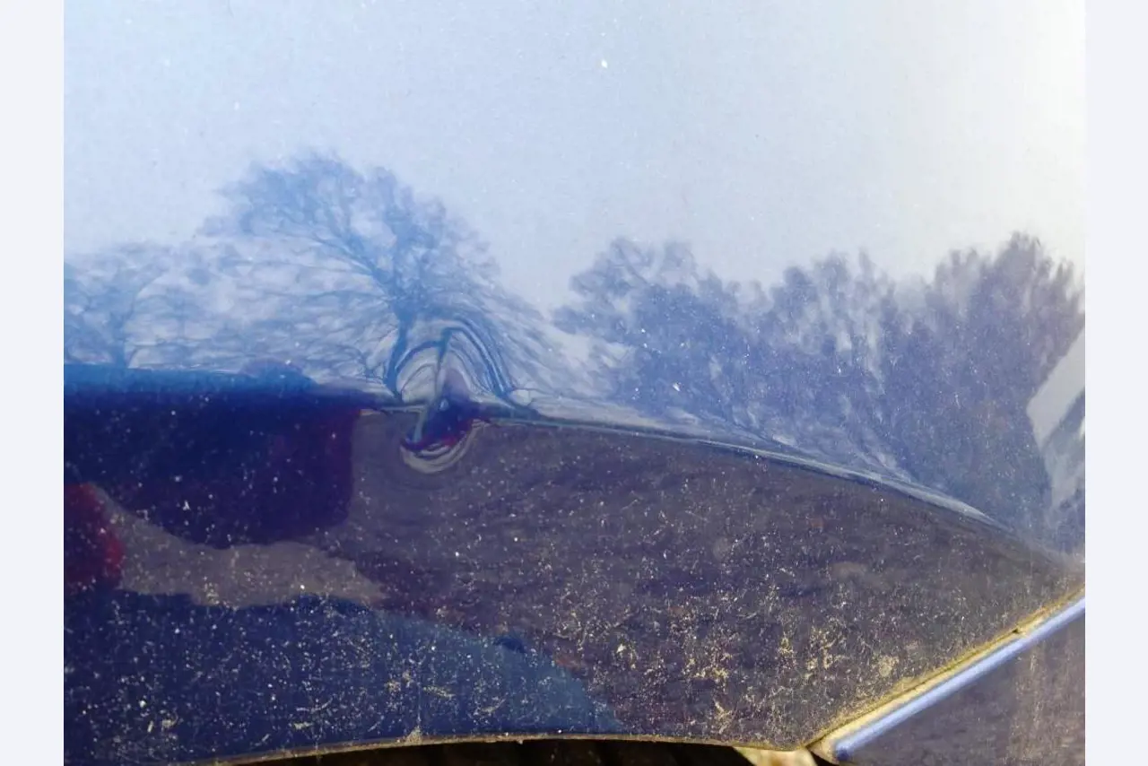 divers véhicules à moteur-7