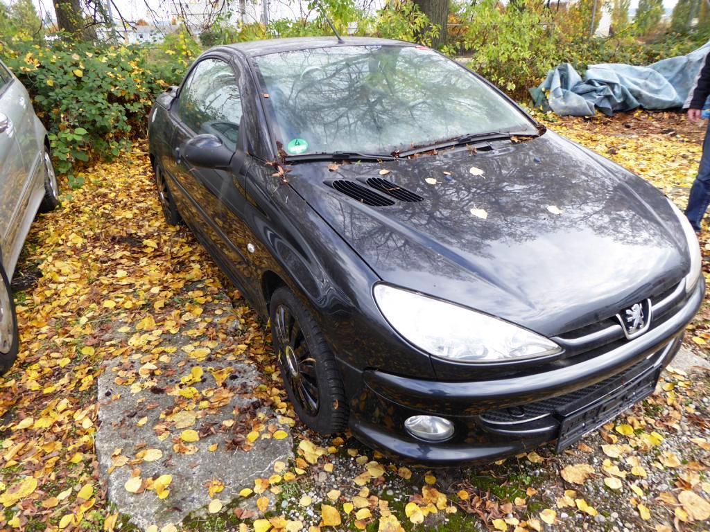 Vários veículos a motor-5