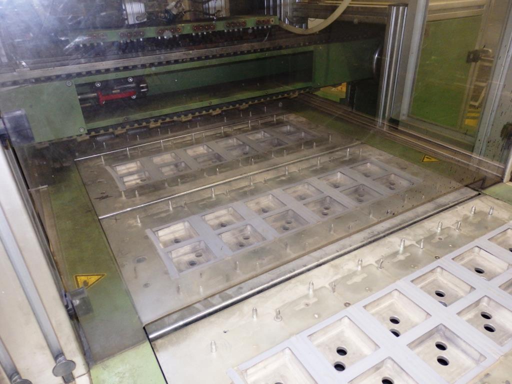 Installations pour l'emballage et le conditionnement sous blister de piles-15