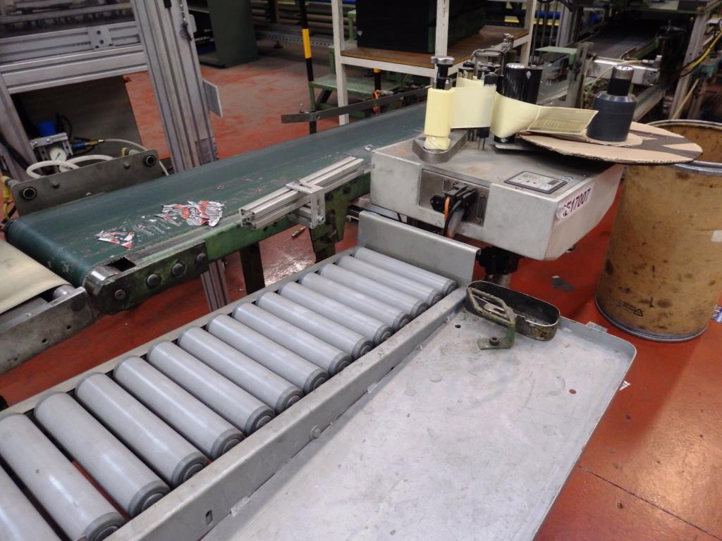 Installations pour l'emballage et le conditionnement sous blister de piles-12