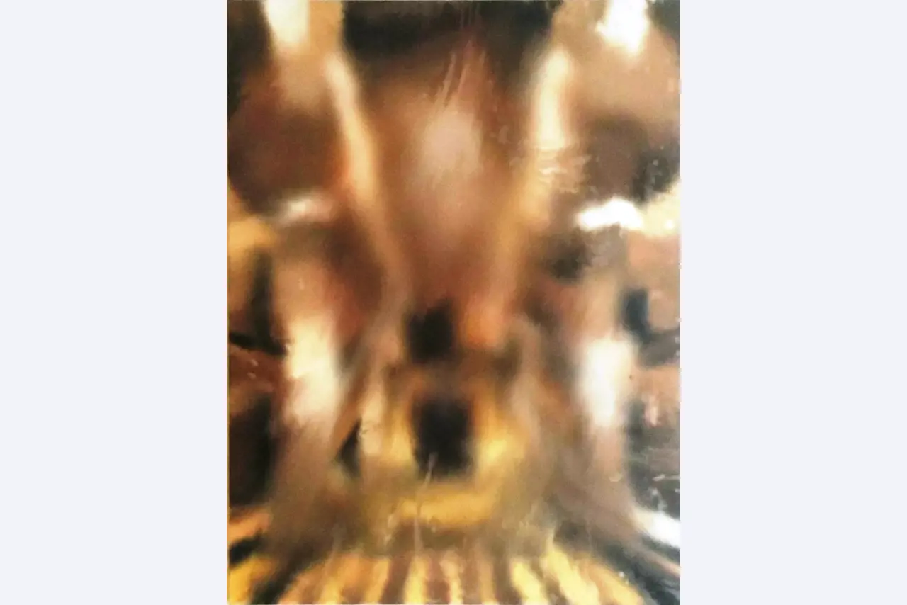 Œuvres d'art-1