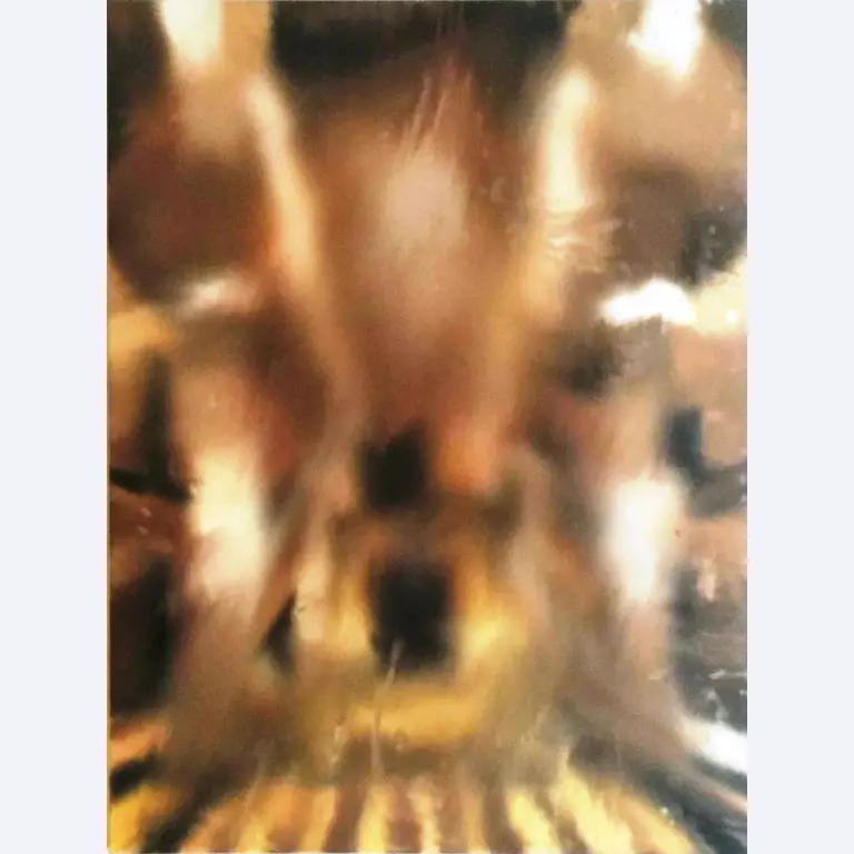 Œuvres d'art-1