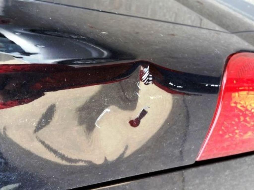 well-maintained butchery machines-9