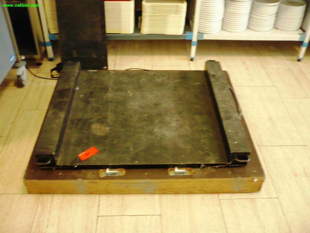 Meal distribution systems-1