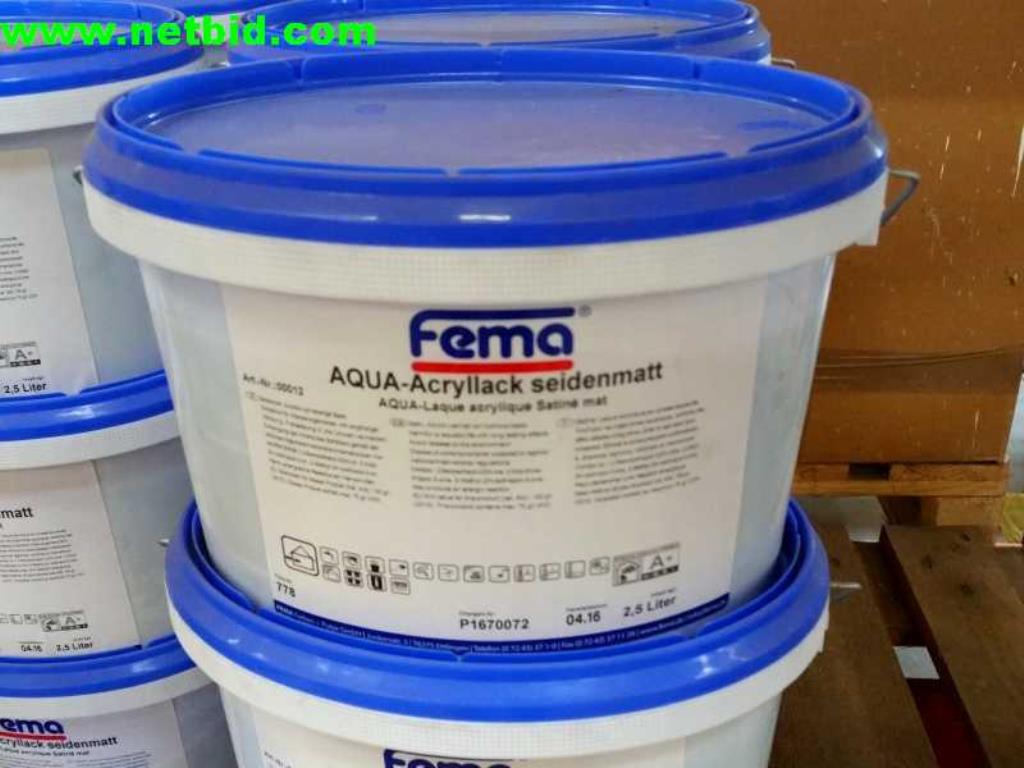 buy used Lot AQUA acrylic lacquer silk matt/silk gloss FEMA (Trading ...