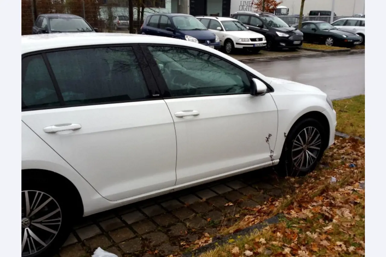 Peri Maximo lot formwork<br><img src="/images/LogoStrasser.png"><br>-10