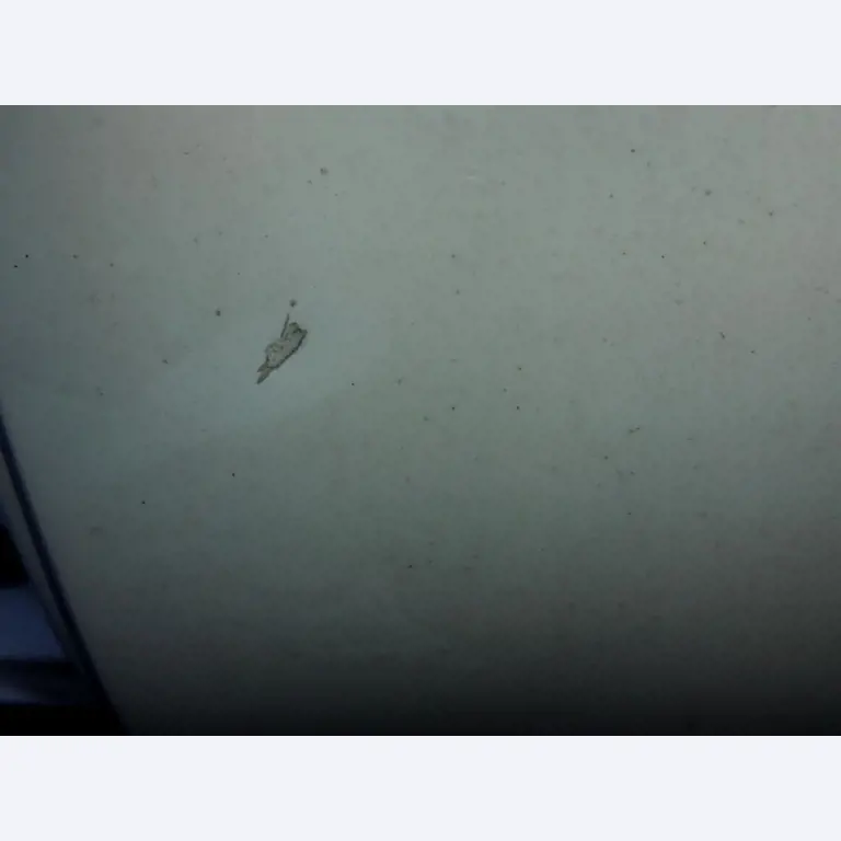 Moldes para painéis Peri Maximo<br><img src="/images/LogoStrasser.png"><br>-6