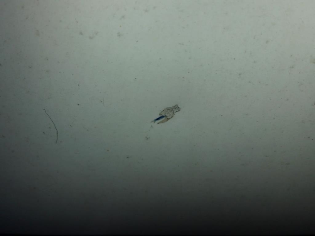 
Moldes para painéis Peri Maximo<br><img src="/images/LogoStrasser.png"><br>-7