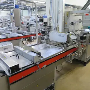 Verpackungslinie (Nr. 2) Gea 3000/560