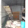thumbnail-Baumaschinen, Nutzfahrzeuge, Anhänger-5