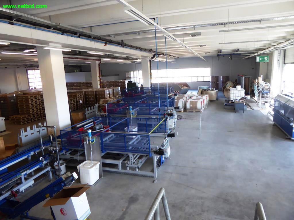 Papier-/Karton-Palettenherstellungsanlage -2