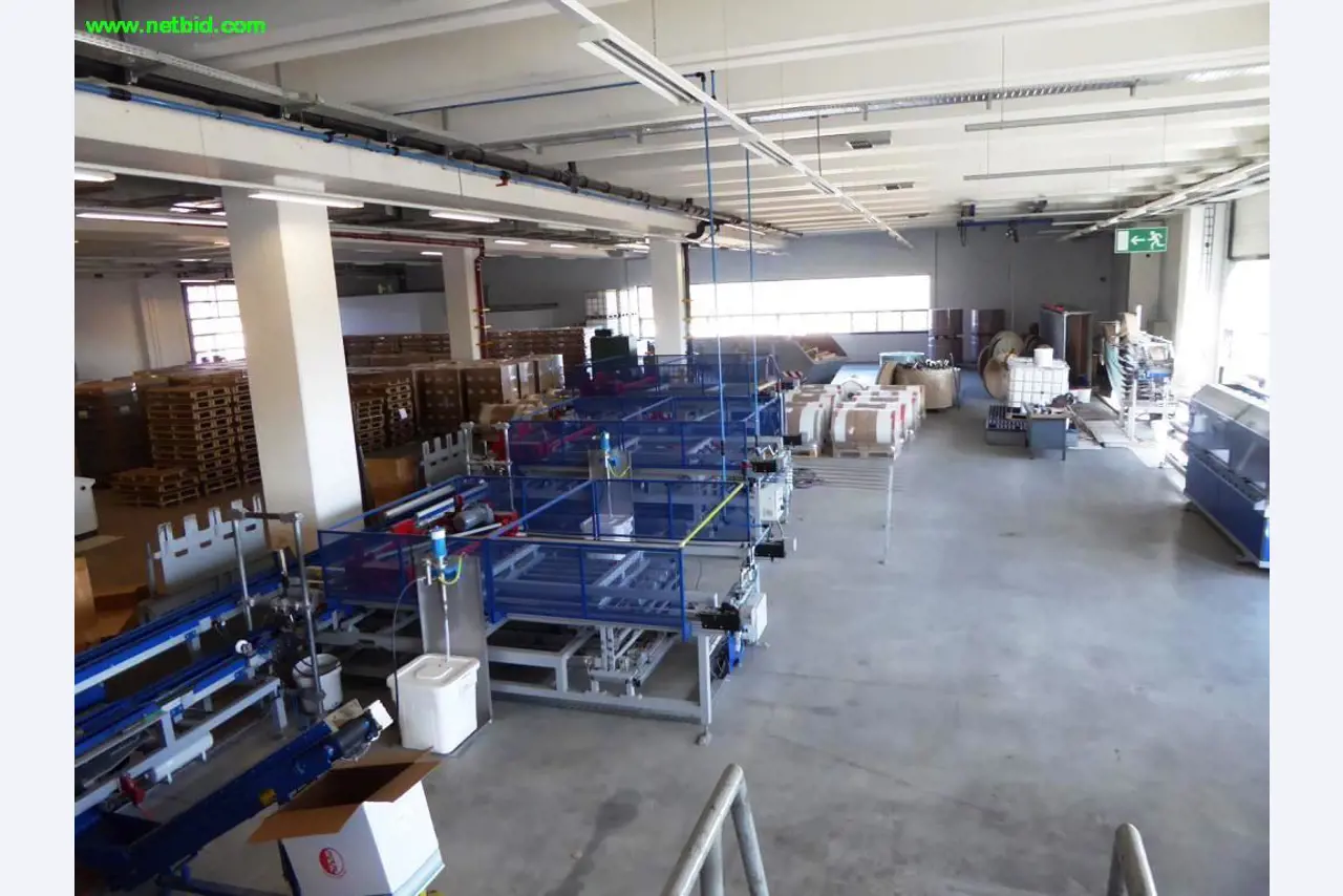 paper/cardboard pallet production plant-2