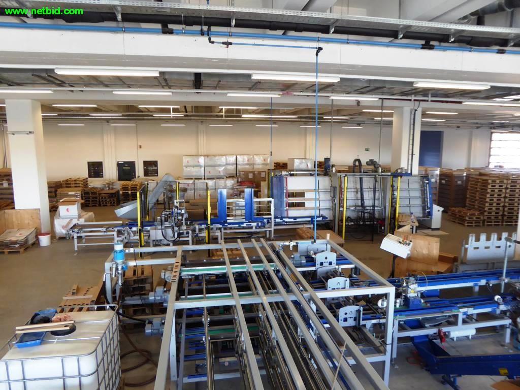 Papier-/Karton-Palettenherstellungsanlage -4