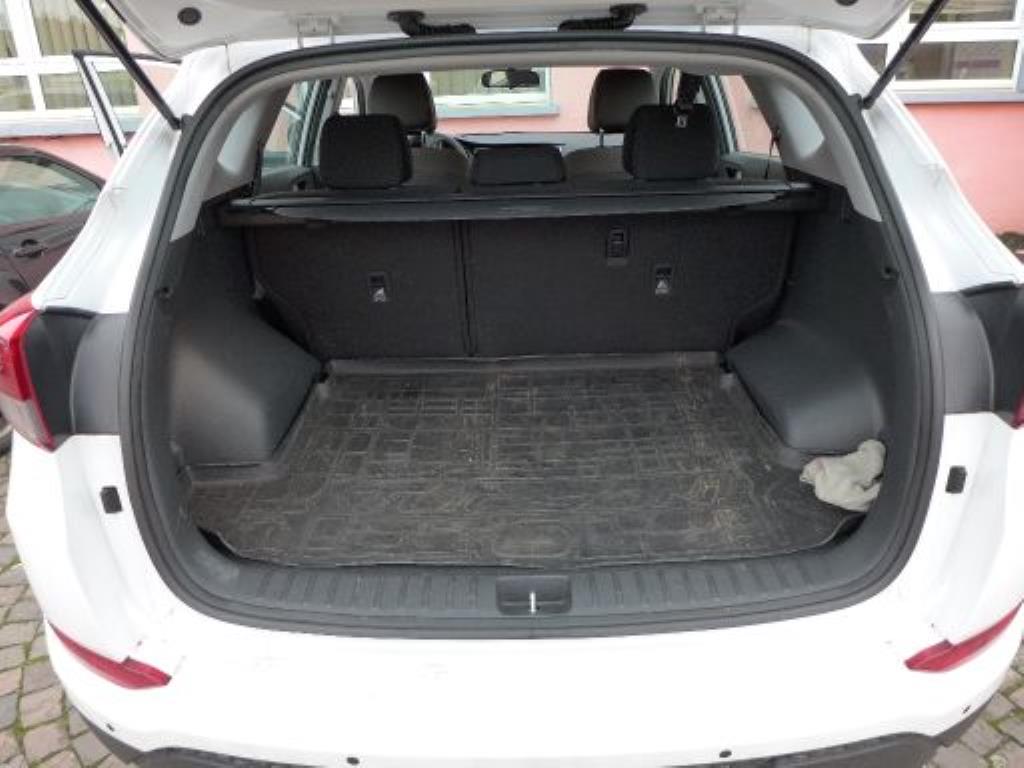 new and used groundscare machines<br>and power tools-13