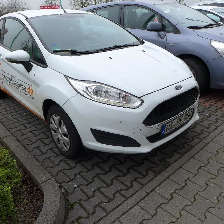 Pkw Ford Fiesta 1,25L Trend