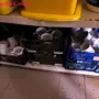 thumbnail-Betriebs- und Geschäftsausstattung eines Weinbaubetriebes mit Kellerei-3