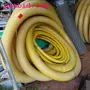 thumbnail-gepflegte Maschinen aus dem Bereich <br>Landwirtschaft -2