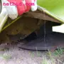 thumbnail-discharged and well-maintained machines from the sector agriculture-3