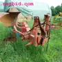 thumbnail-discharged and well-maintained machines from the sector agriculture-2