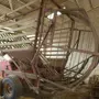 thumbnail-gepflegte Maschinen aus dem Bereich <br>Landwirtschaft -6