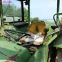 thumbnail-Goed onderhouden machines uit de <br>landbouwsector-13