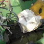 thumbnail-discharged and well-maintained machines from the sector agriculture-3