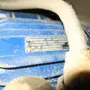 thumbnail-well maintained machines for wood processing-4