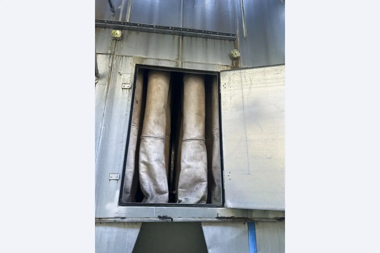 well maintained machines for wood processing-4